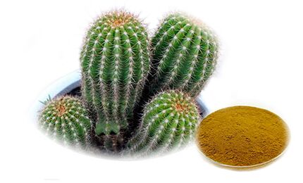 Hoodia gordoni so Reduslim