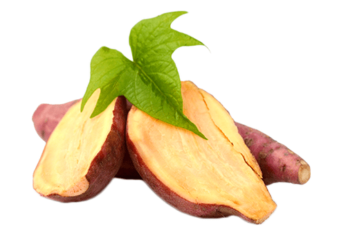 Yacon root v Reduslim
