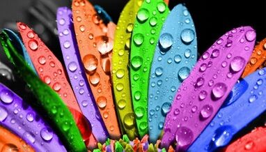 ako schudnúť pri diéte so 6 okvetnými lístkami